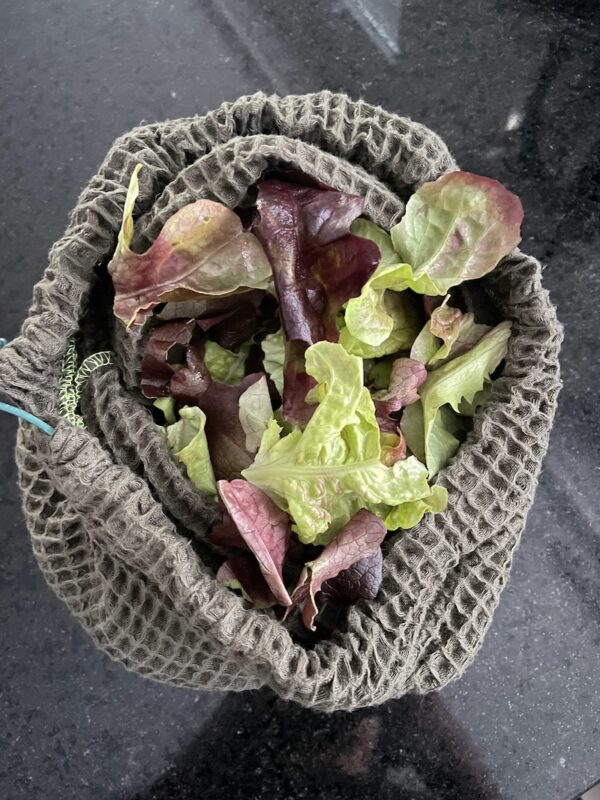 SALATBÜTTL für a frischa Salat im Frigo